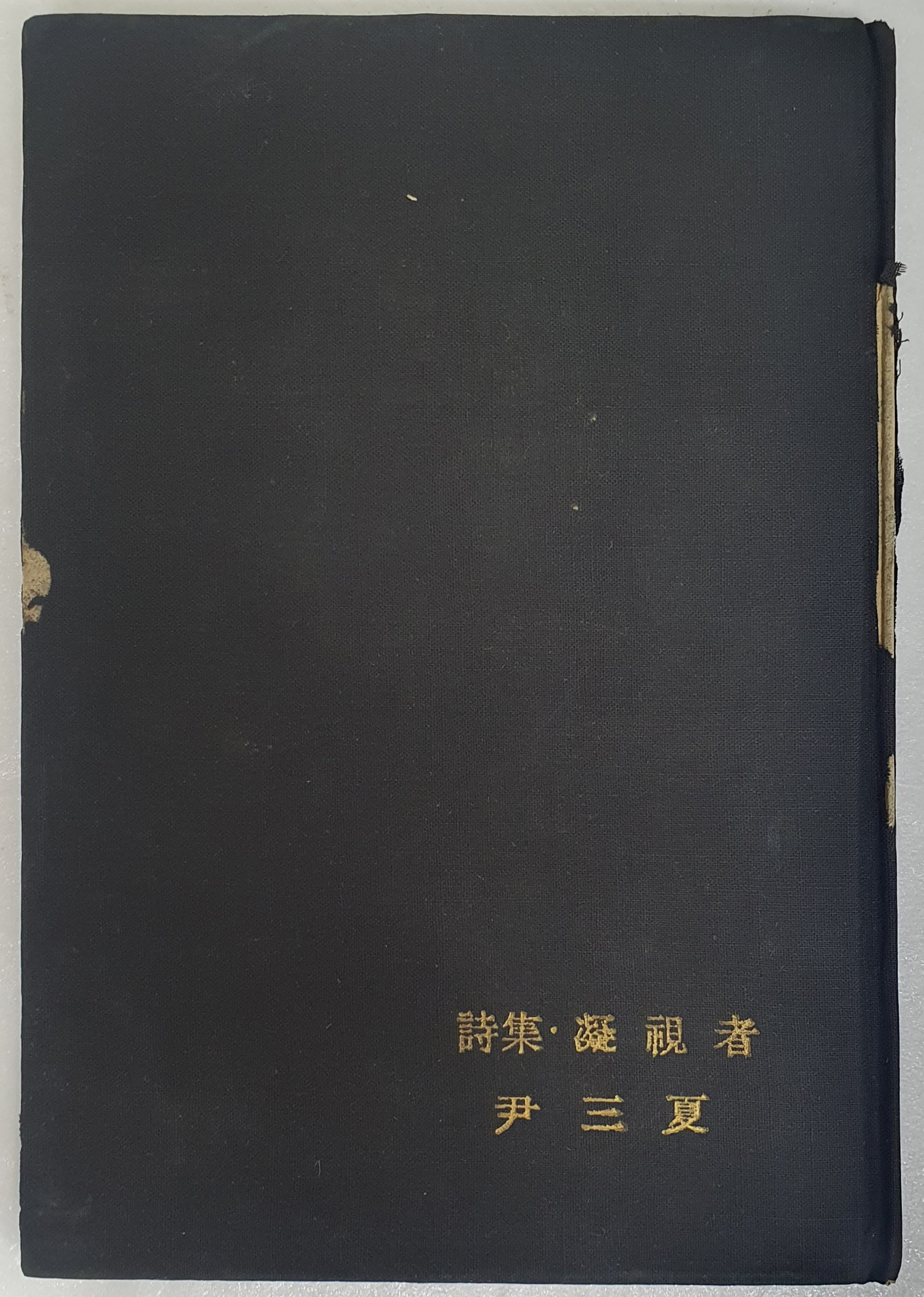윤삼하의 시집 [응시자 凝視者]