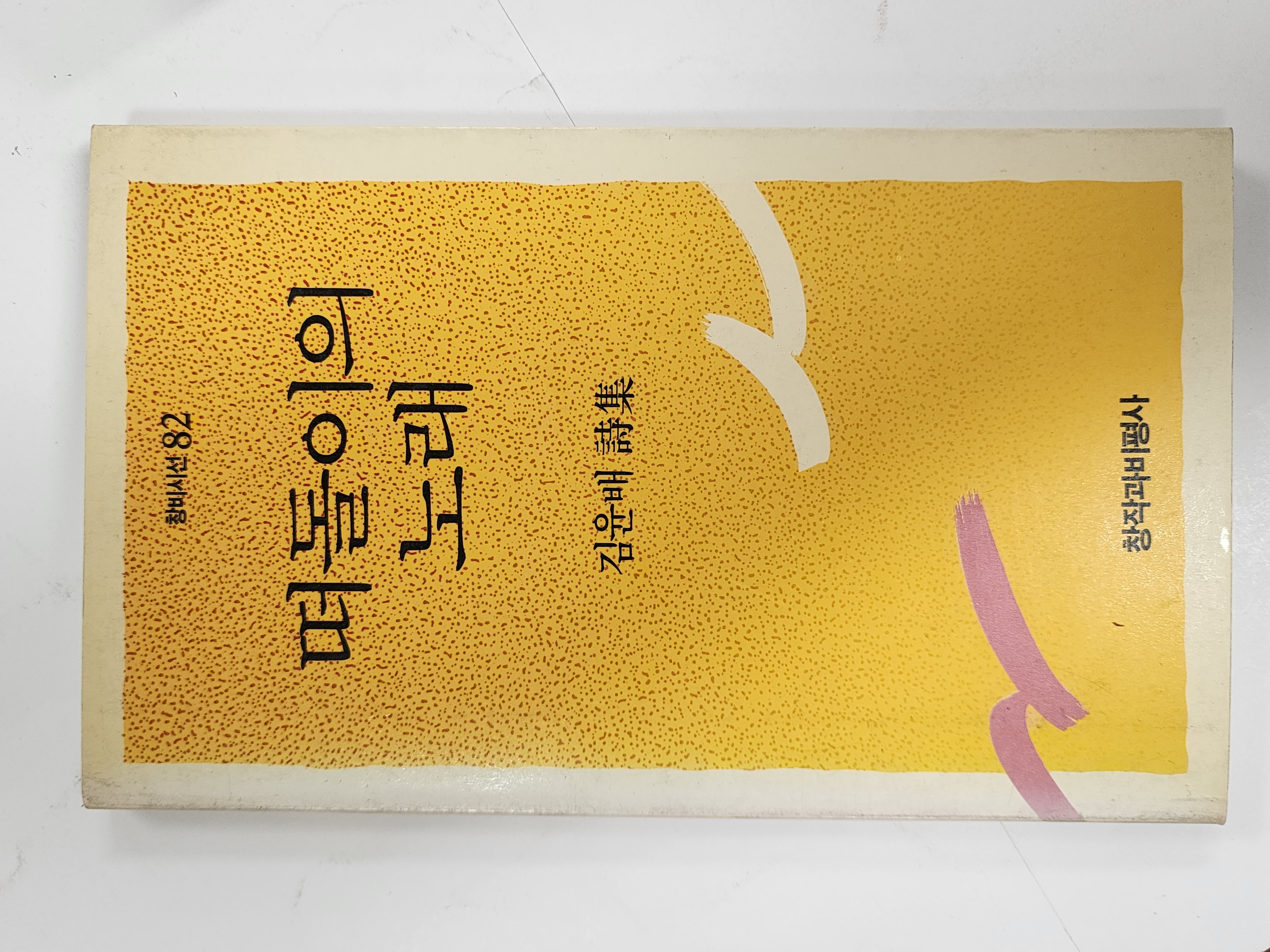 떠돌이의 노래 (김윤배시집,초판)