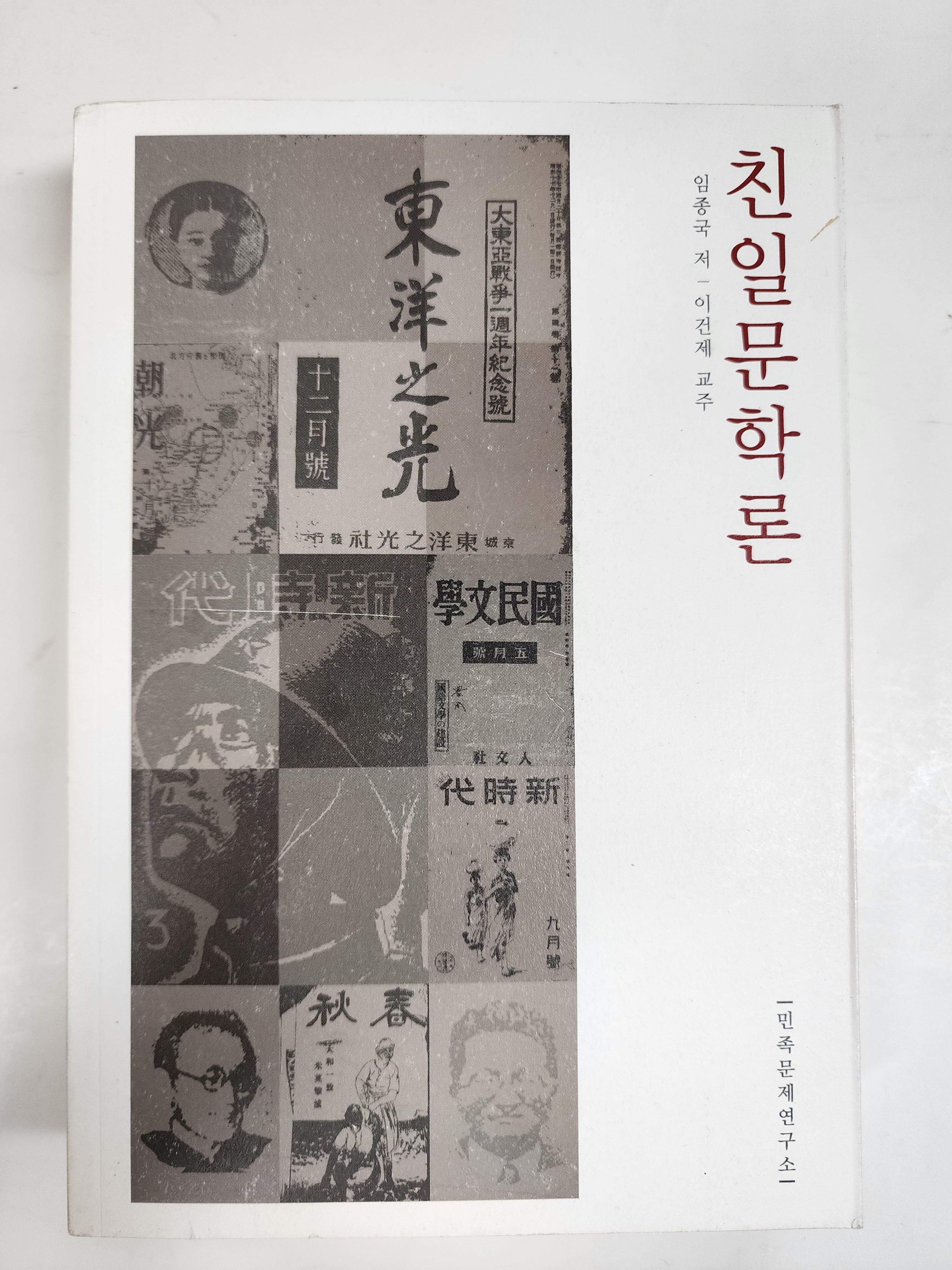 친일문학론