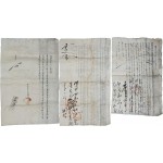 [59] 연기현(燕岐縣, 현 세종시) 유만엽·유만지 등이 공주감영의 순찰사 등에 올린 산송(山訟) 소지(所志) 2점과 광서(光緖)2년 준호구 1점 등 3점 일괄