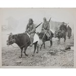 [41] 한국전쟁 중 소를 타고 이동하는 군인들 오리지널 사진