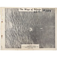 [42] 한국전쟁 중 고래와 잠수함 식별을 위한 [고래의 길 The Ways of Whales]