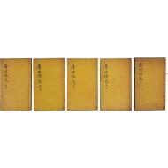 [120] 중국 한의서 [신간 의림장원 수세보원 新刊醫林狀元壽世保元] 10권 5책 완질