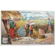 [39] 조선 풍경이 그려진 [LIEBIG'S FLEISCH-EXTRACT] 육가공품 마케팅 카드 - 키질하는 한국 사람들