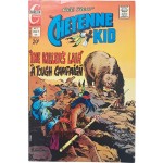 [46] 라이파이 김산호의 미국 서부극 데뷔작 [샤이엔 꼬마 Cheyenne kid]