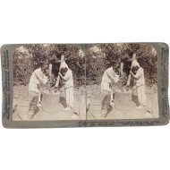 [70] 서울 근교의 곡물 찧는 사람들 - 스테레오 뷰