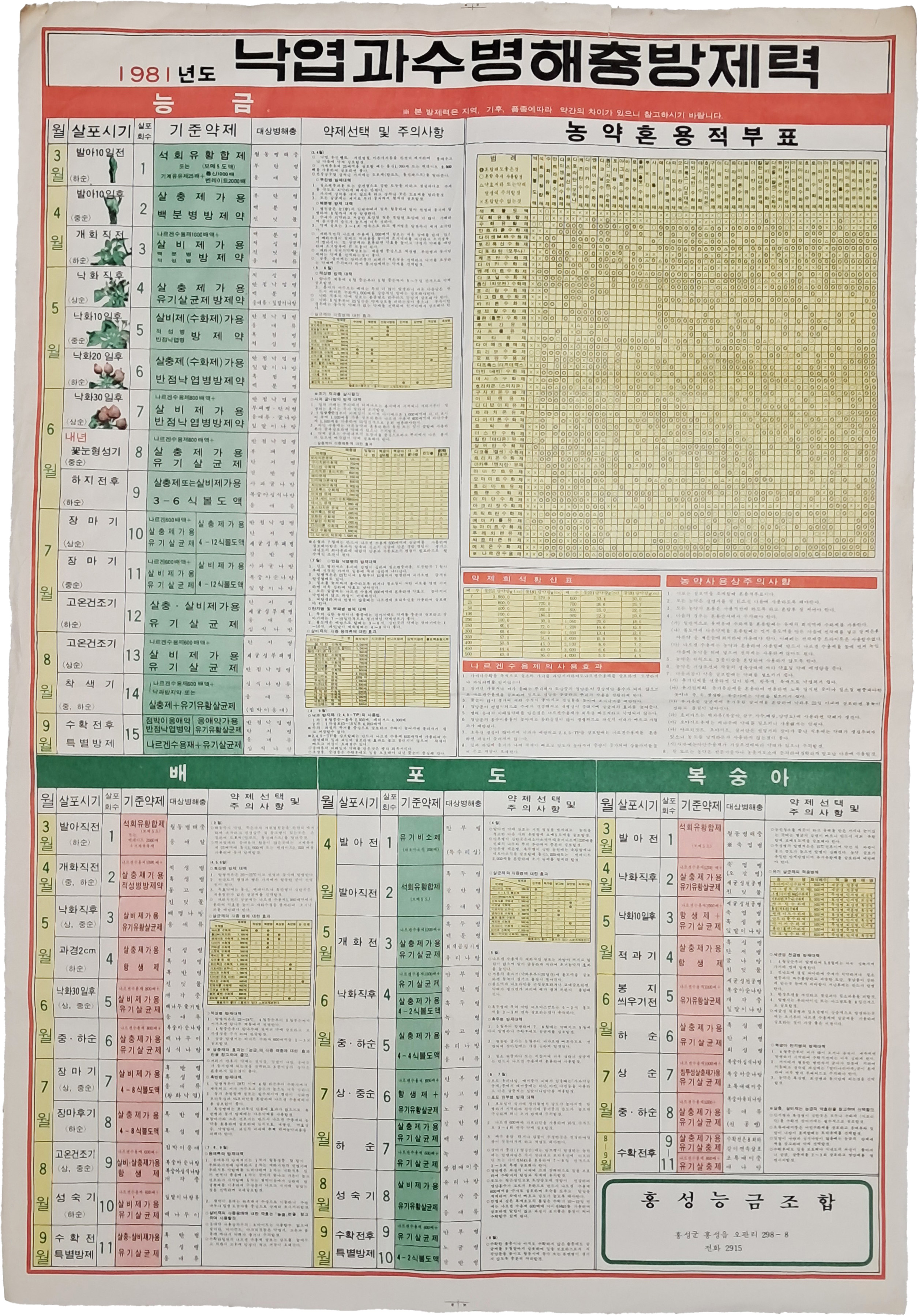 [19] 1981년도 낙엽과수병해충 방제력