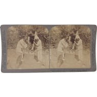 [27] 서울 교외 전통 방아 찧기 장면 - 스테레오 뷰