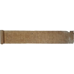 [75] 장축의 [질부답서]