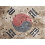 [67] 독립운동 단체 태극단(太極團)의 [태극기]