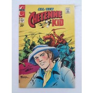 [3] 김산호 영문만화 [Cheyenne Kid]