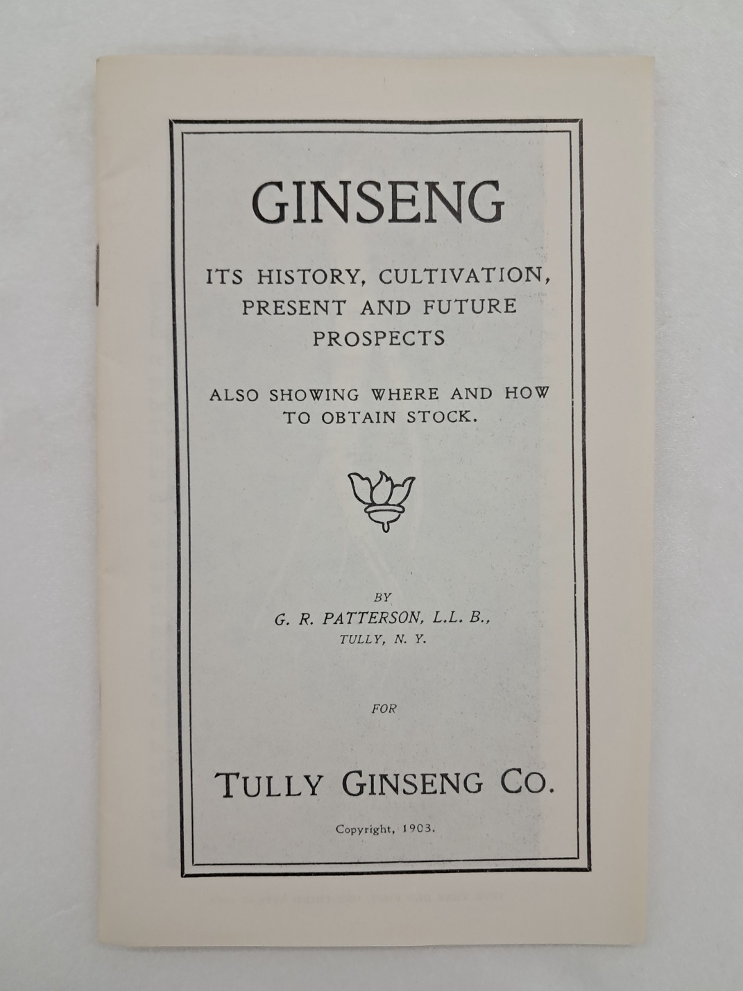 [13] 인삼의 역사와 경작 등이 수록된 [인삼(Ginseng)] 팸플릿