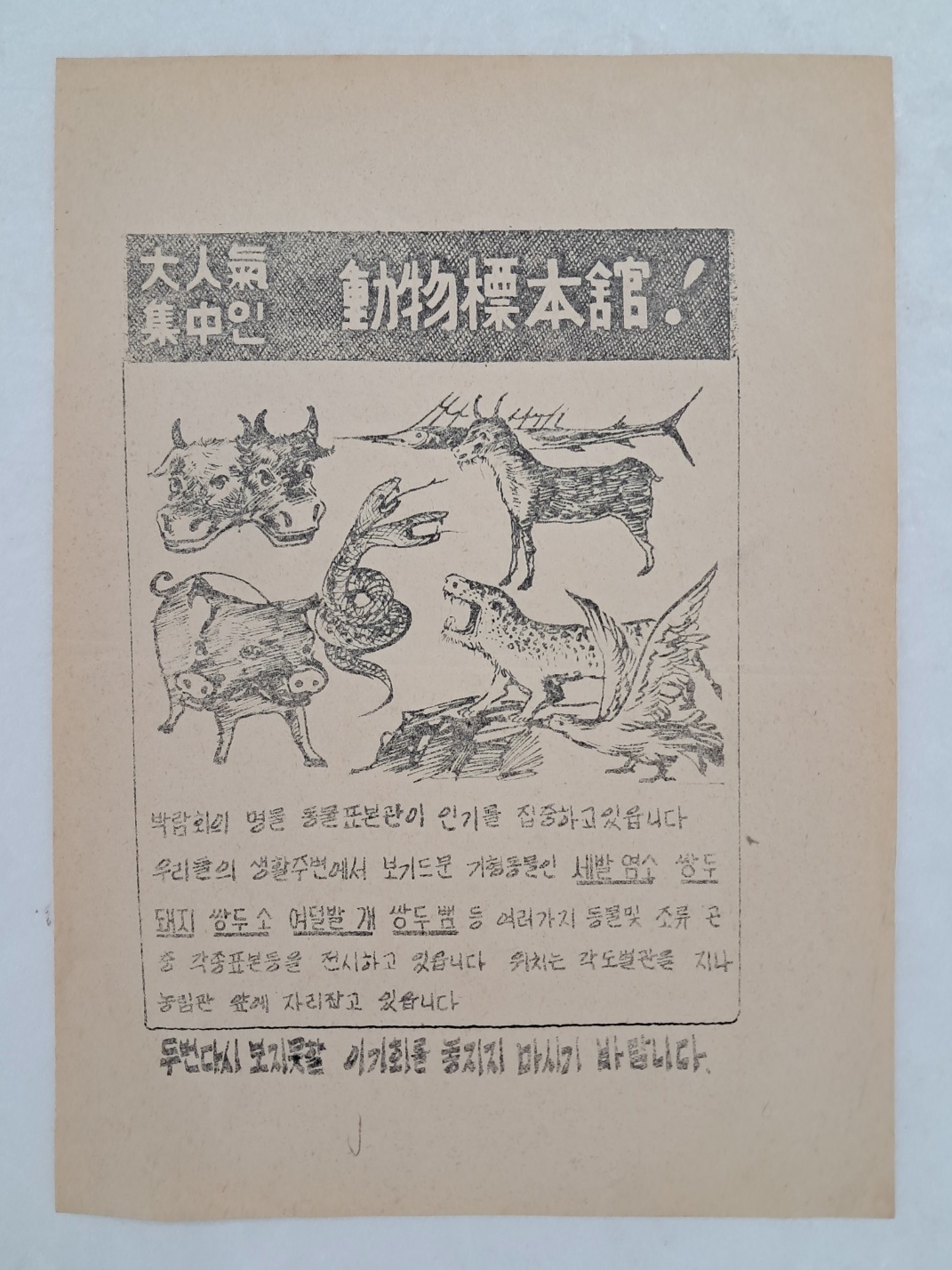 [22] 박람회의 명물 [동물표본관] 전단