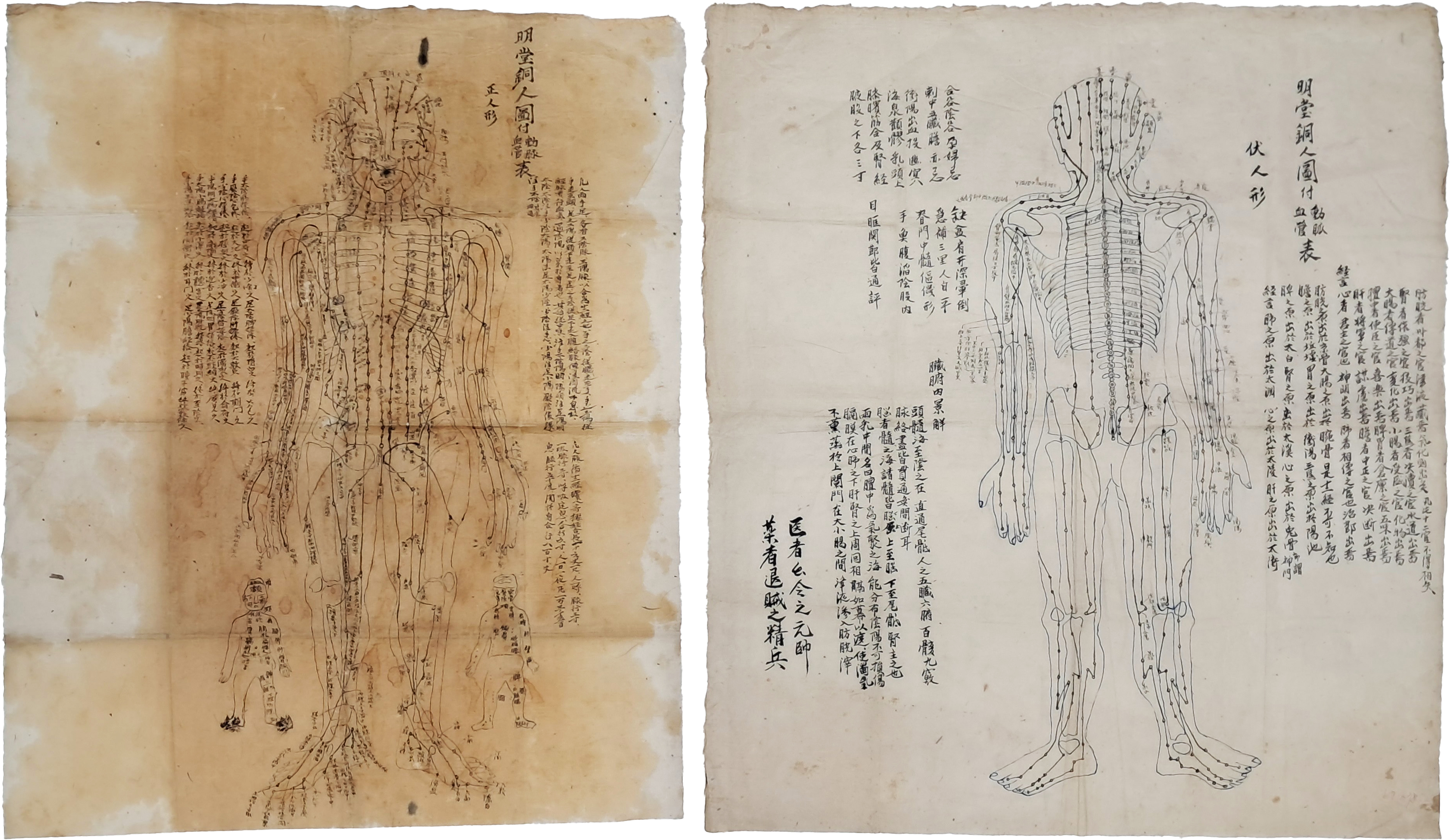 [136] 경혈에 침을 놓기 위해 그려진 명당도(明堂圖)와 동인도(銅人圖) 인체 전후면 필사 문서 2점