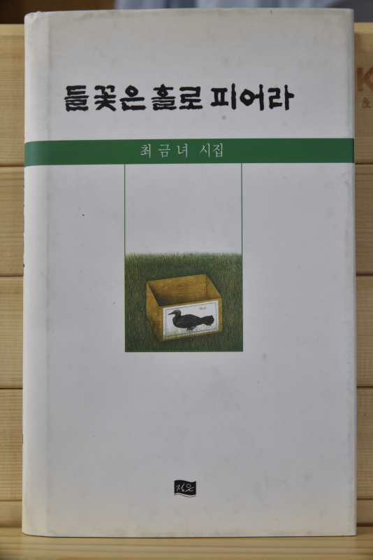 들꽃은 홀로 피어라