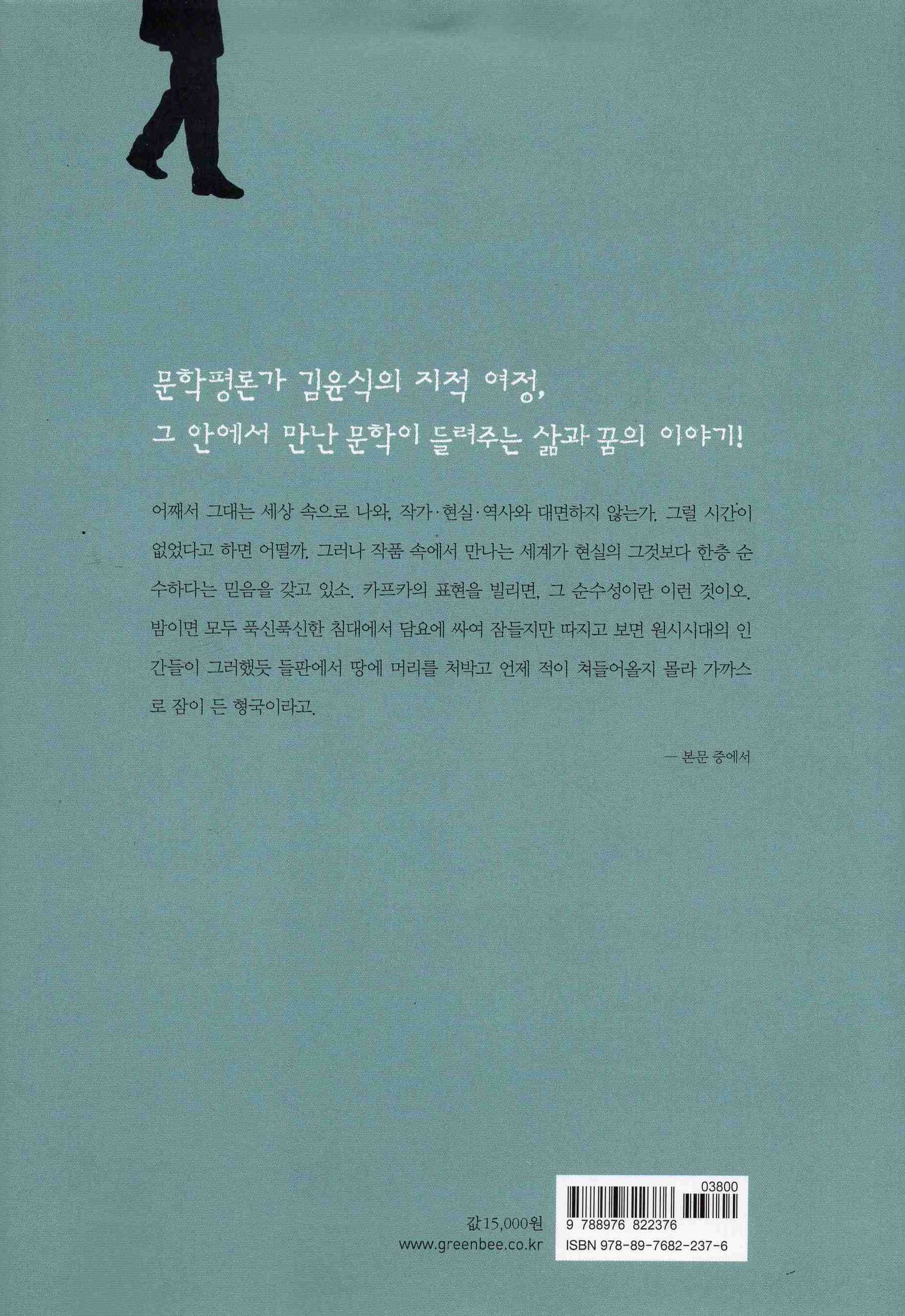 문학을 걷다 (김윤식이 만난 문학 이야기)