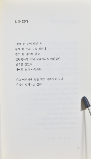 인디오 여인 (곽효환시집,초판저자증정본)