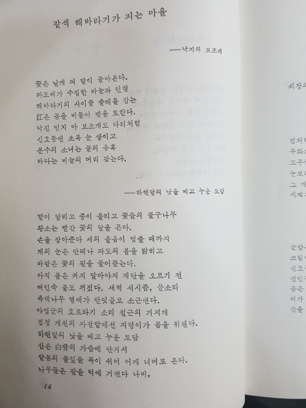 기지촌의 수족관