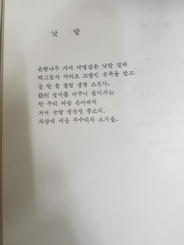 기지촌의 수족관