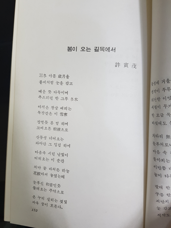 빛살들의 군무