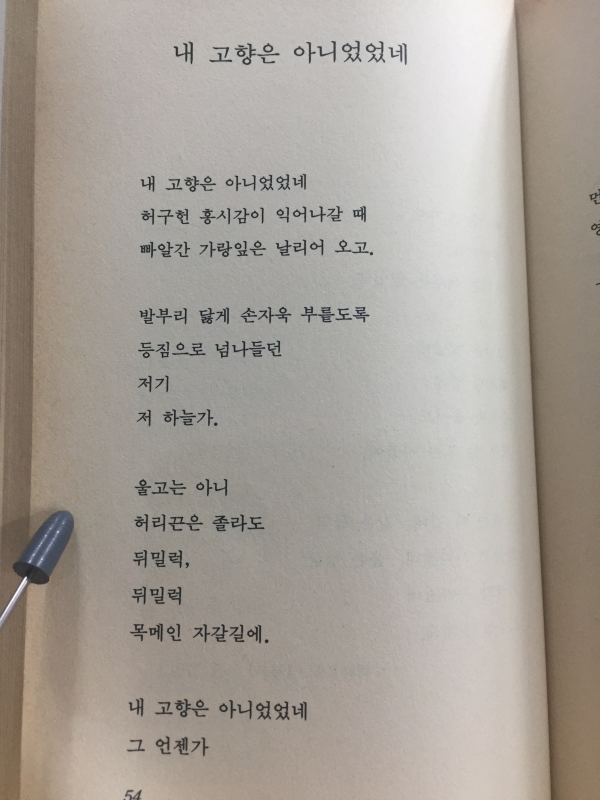 누가 하늘을 보았다 하는가 (신동엽시선집)