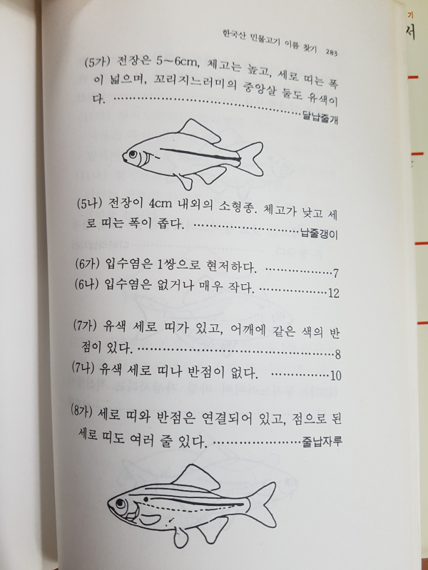 어린이와 어른이 함께 읽는 민물고기 이야기