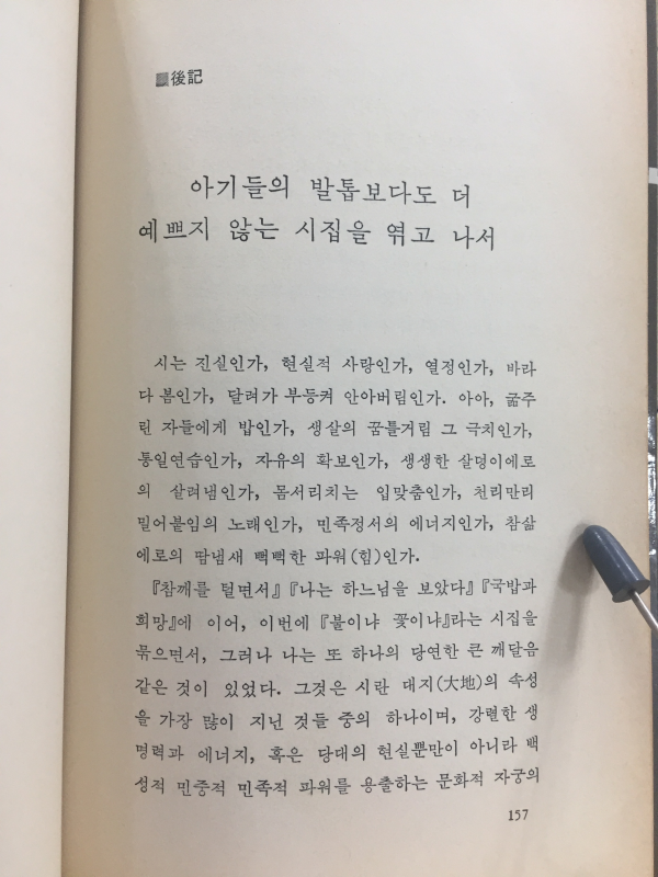 불이냐 꽃이냐 (김준태시집)