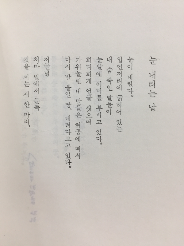 그림자의 그늘 (이태수시집)