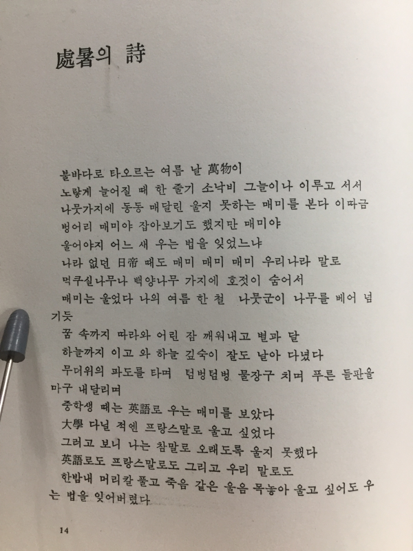 수평선을 바라보며 (문충성 제2시집)