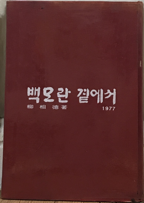 백모란 곁에서