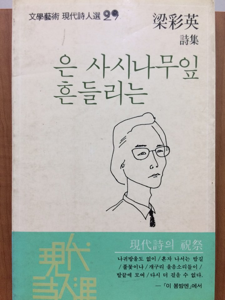 은 사시나무잎 흔들리는 (양채영시집)