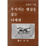 부서지는 햇살을 줍는 너에게 (강항려 시집)