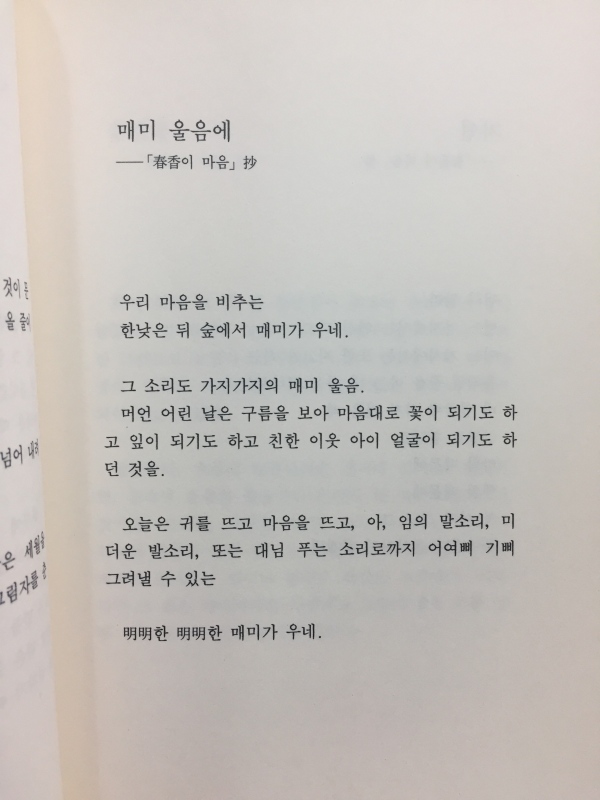 천년의 바람