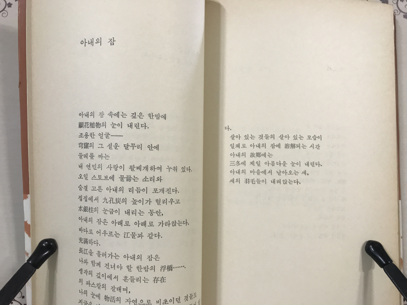 아내의 잠 (박경석시집)