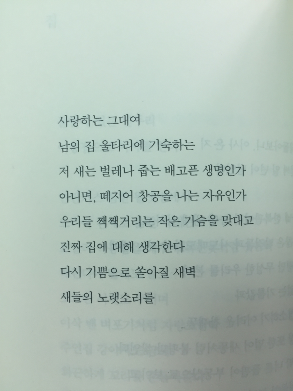 벌레의 집은 아늑하다(이정록시집)