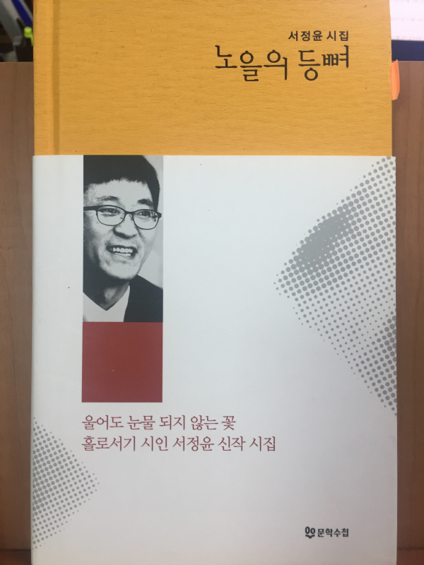 노을의 등뼈(서정윤시집,초판)