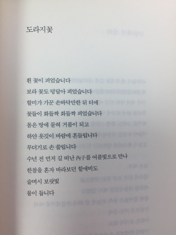 흰꽃(정한용시집,초판)