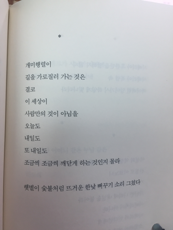 순간의 꽃(고은작은시편,1판2쇄)