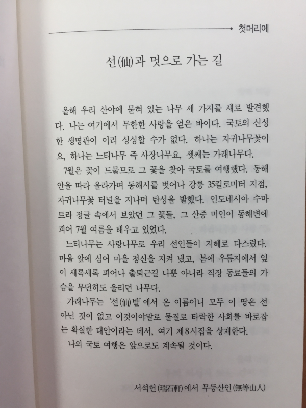 바람에 지는 아픈 꽃잎처럼(송수권 시집)