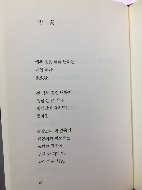 사람들이 새가 되고 싶은 까닭을 안다(이근배 시집)