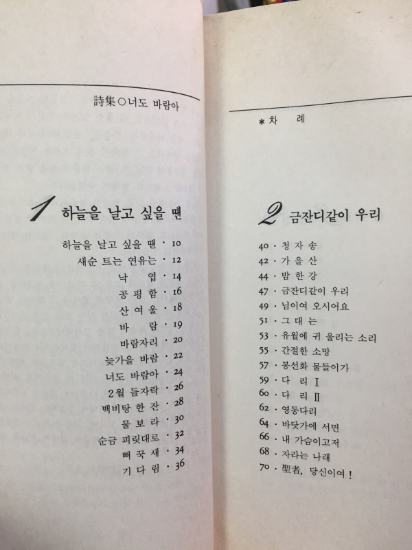 너도 바람아(추영수 시집)