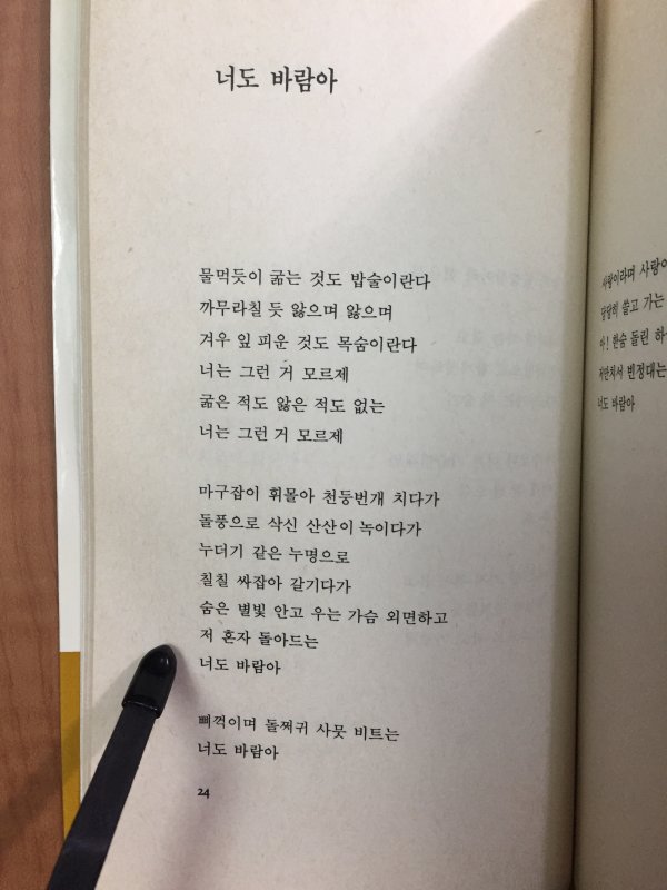 너도 바람아(추영수 시집)