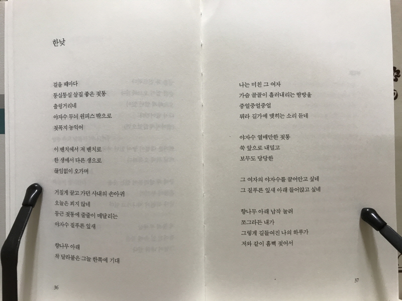 천둥을 쪼개고 씨앗을 심다 (초판,저자증정본)