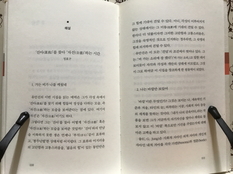 다보탑을 줍다 (유안진시집,초판저자증정본)