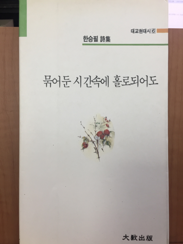 묶어둔 시간속에 홀로되어도 (한승필 시집)