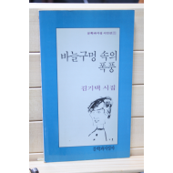 바늘구멍 속의 폭풍 (김기택 시집,초판)