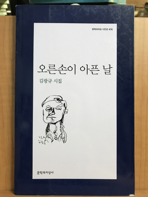 오른손이 아픈 날 (김광규시집,초판)