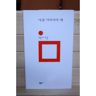 사과 사이사이 새 (최문자시집,초판)