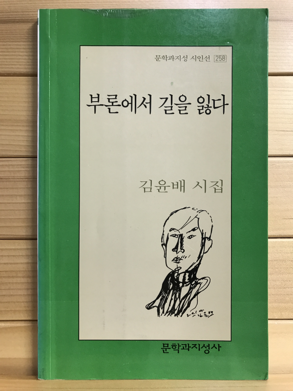 부론에서 길을 잃다 (김윤배시집,초판)