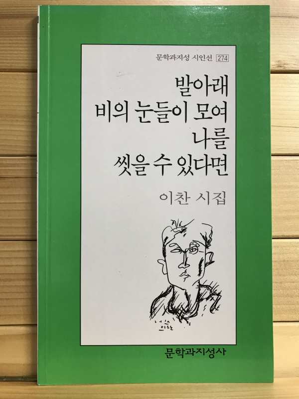 발아래 비의 눈들이 모여 나를 씻을 수 있다면 (이찬시집,초판)